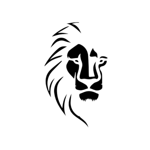 Chiropractic Assessment illustration